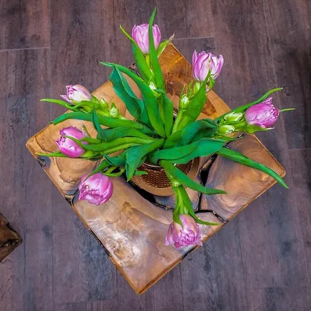 Unesco Hidden Arches - Restored 3 Bedroom In The Historic Pilies St. *